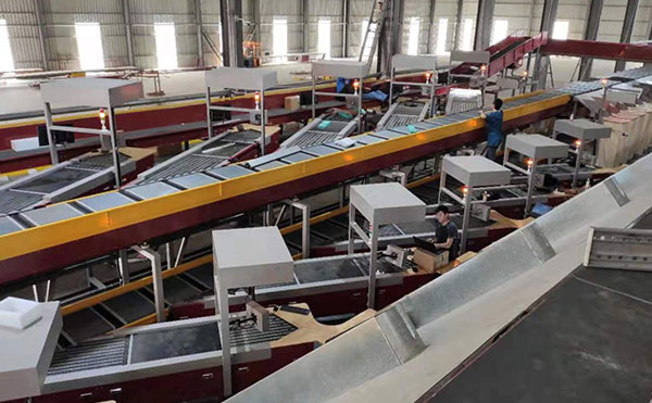 動態DWS設備,快遞包裹分揀機,DWS物流設備